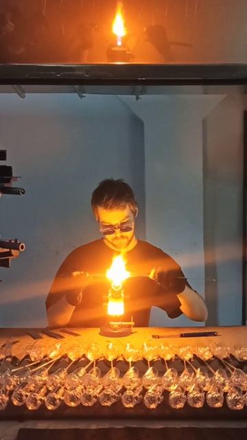 VID_20251130_152324_970.mp4