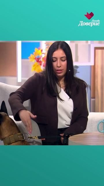 Всемирный день домашних животных