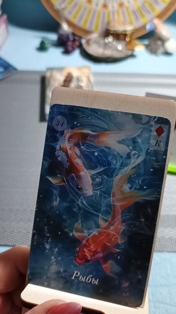 Тринадцатое декабря 2025 года. Карта дня