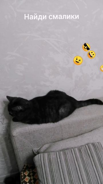 Тестики от Норы 1 часть