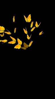 БАБОЧКИ ФУТАЖ/ ДЛЯ МОНТАЖА ВИДЕО