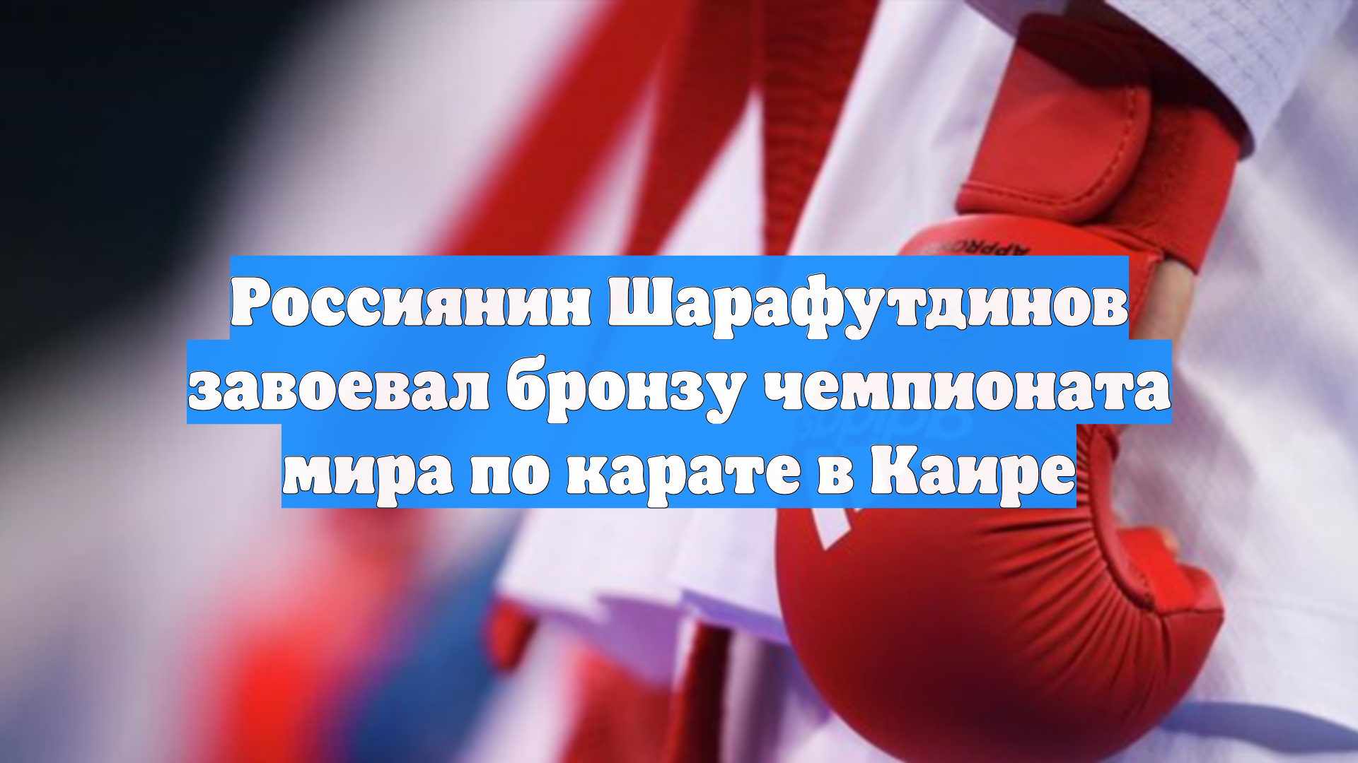 Россиянин Шарафутдинов завоевал бронзу чемпионата мира по карате в Каире