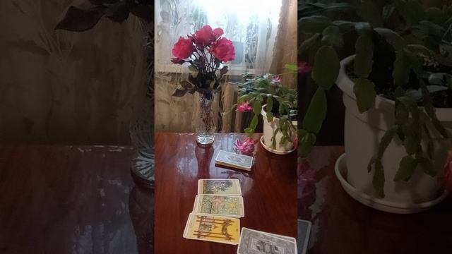 Таро.Что за представление вы увидите.