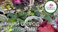 ЗИМНИЙ ОГОРОД: ЗА И ПРОТИВ