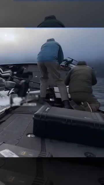 Водно-моторная утончённая эстетика!..