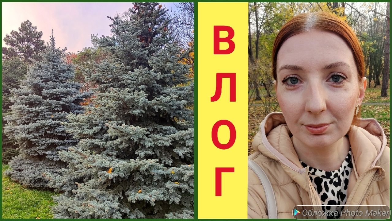 Влог / вкусный салатик/парк