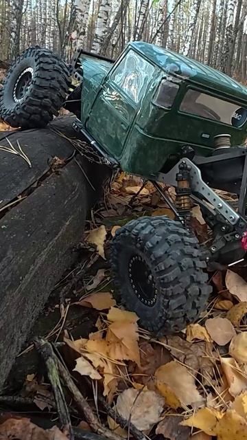 В осенний лес на scx10