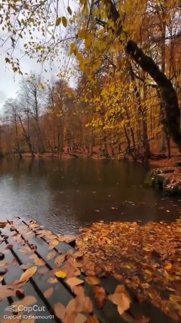 Бекболат Муминов "Незнакомка"