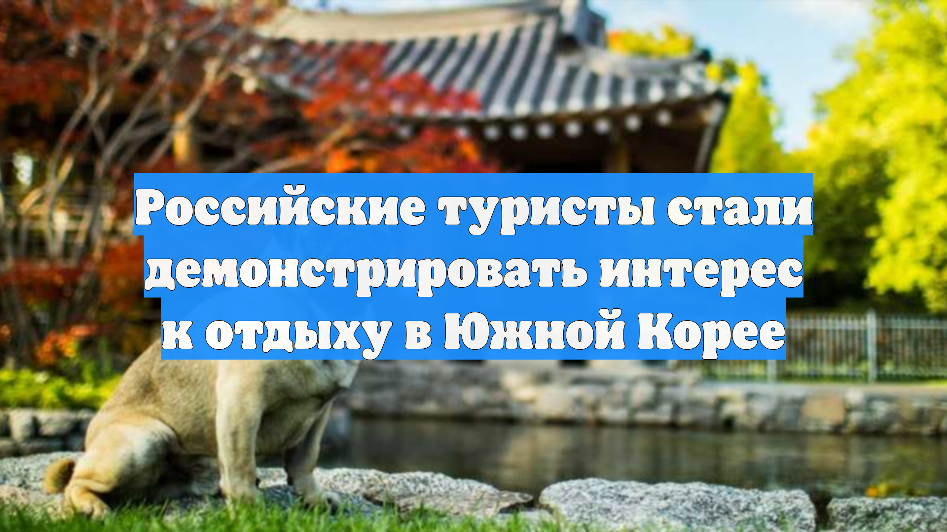 Российские туристы стали демонстрировать интерес к отдыху в Южной Корее