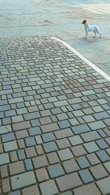 Не пугайтесь тишины, в ней есть эпохи миг.