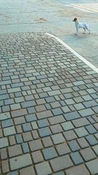 Не пугайтесь тишины, в ней есть эпохи миг.