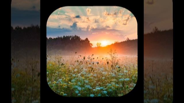 О, если б ты узнал