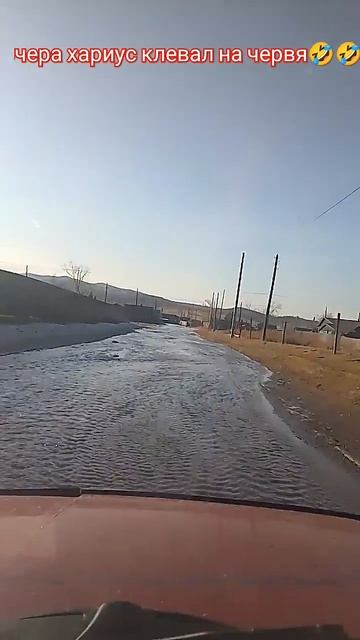 Ловим хариуса в деревне, 🤣🤣