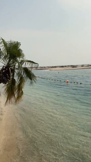 БЫЛИ В ЭТОМ ГОДУ В ОТПУСКЕ? 🌴