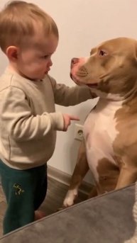 Признавайся! Это ты сделал?!