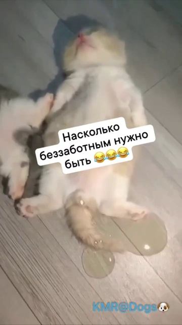 Беззаботное детство😂