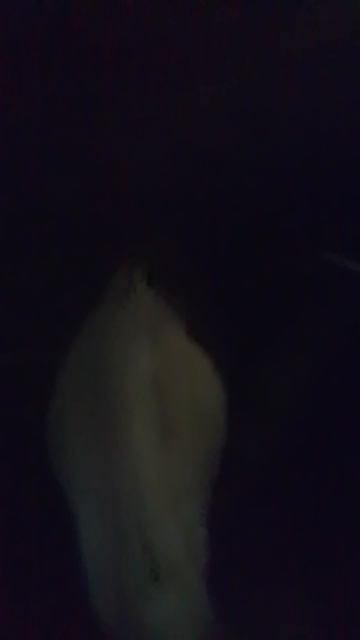 VID_20251130_173458.mp4