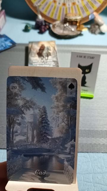 Четырнадцатое декабря 2025 года. Карта дня