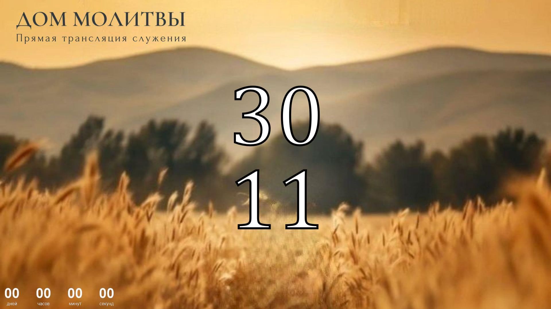 30.11.2025 - Прямая трансляция ст.Елизаветинская