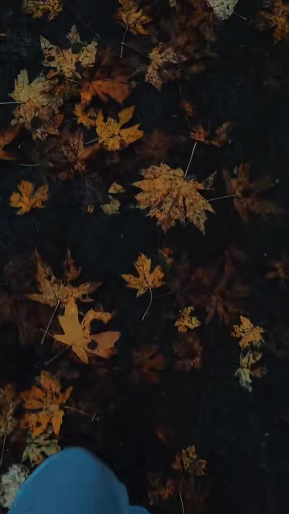 Подпишись 👉 👉 https://kamennyi-zver.ru