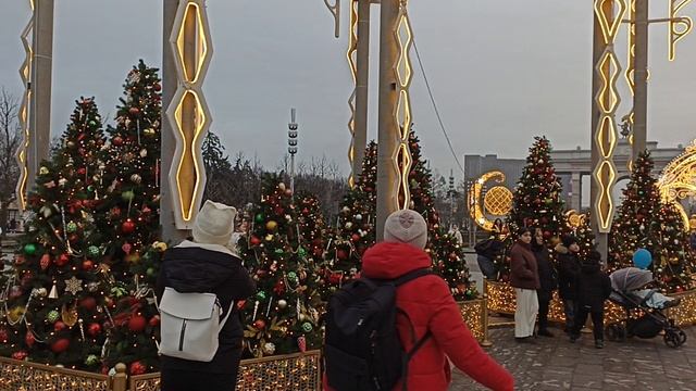 На ВДНХ 30.11.25
Артем, Алиночка и я.