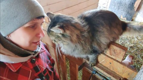 Сегодня порадовало