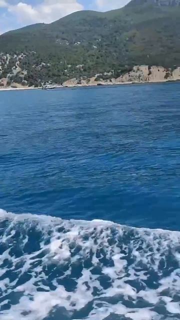 Мамина любовь… ❤️