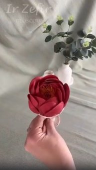 Яркий пион с тычинками