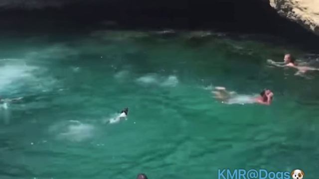 Готов прыгнуть в огонь и воду😎