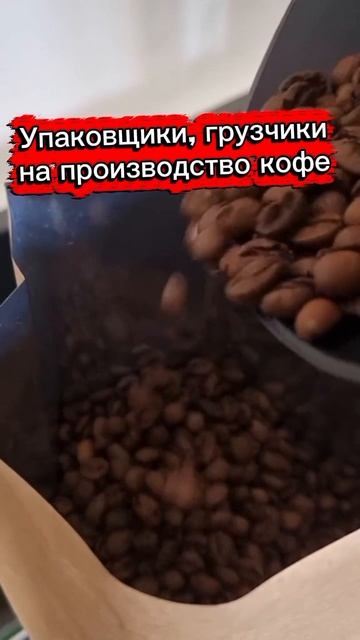 +7-980-367-16-15 Работа. Вахта в Москве