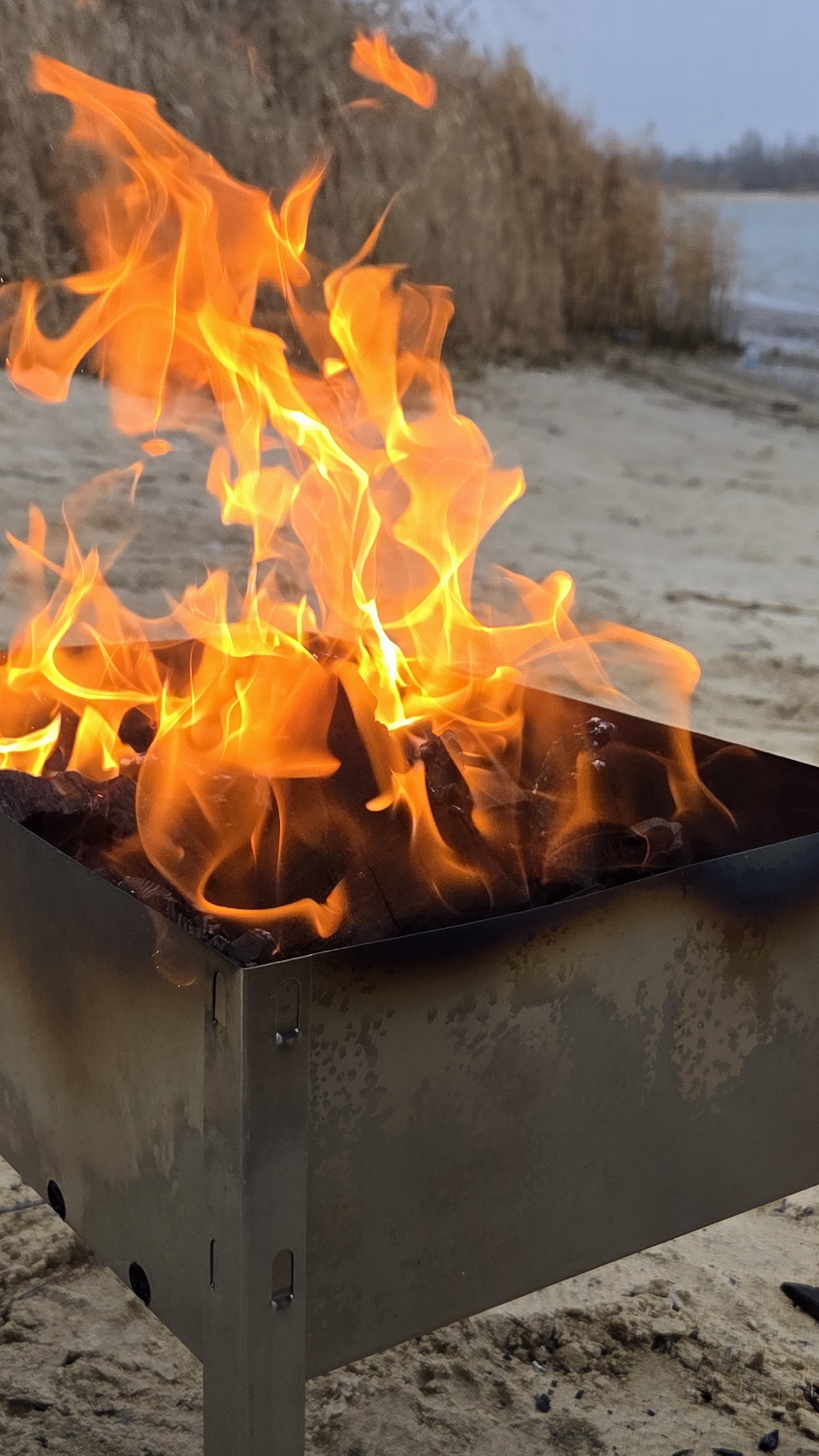 30-11-2025 #природа #костёр