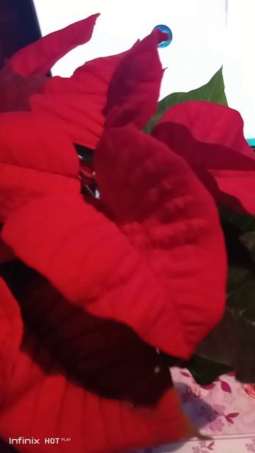 Моя любимая Россия!!!