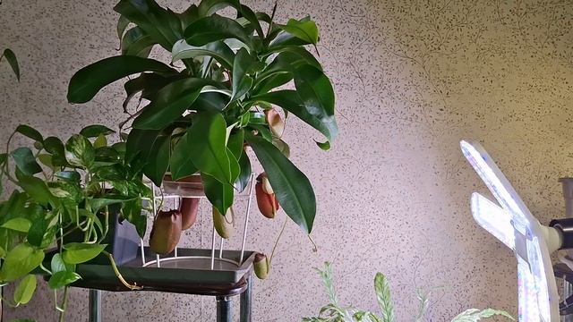 Занятие на вечер