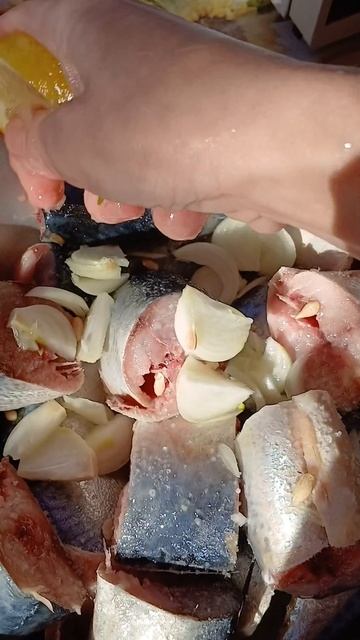 шашлык из скумбрии