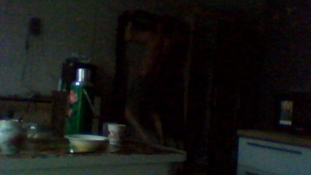 тренировка по умывайкину