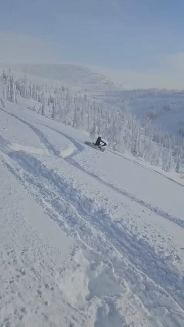 снежный апокалипсис 👍