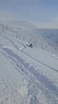 снежный апокалипсис 👍