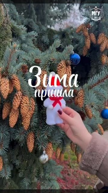 ❄️ Первый день зимы
