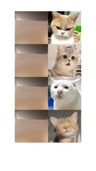 я наорал на котов шок контент