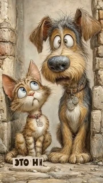 Скетч -шоу. Юмористические видеоролики.