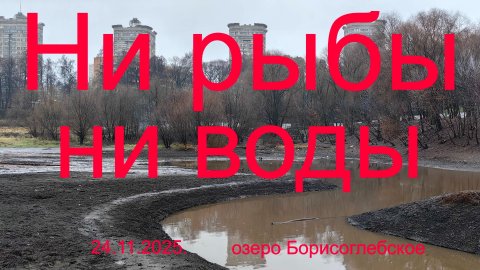 Ни рыбы ,ни воды.24.11.2025. озеро Борисоглебское. Рыбалка в Подмосковье.