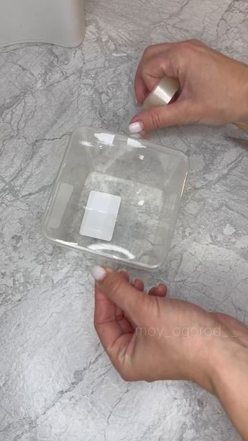 Удобный способ размножения растений🌿