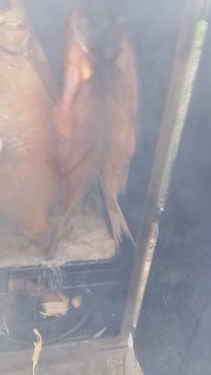 Коптим рыбу..холодное копчение
