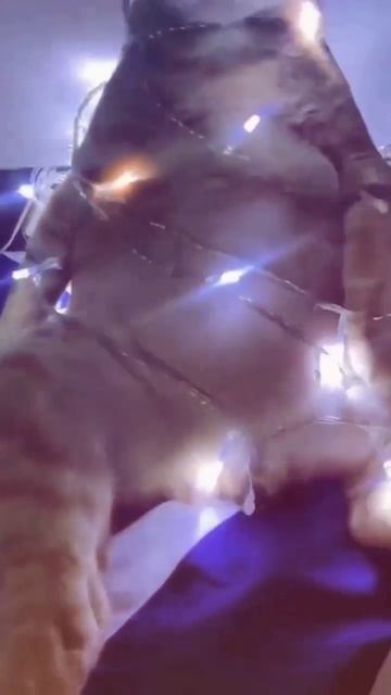 Такие елки мы наряжаем