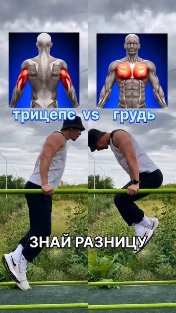 Знай разницу на брусьях