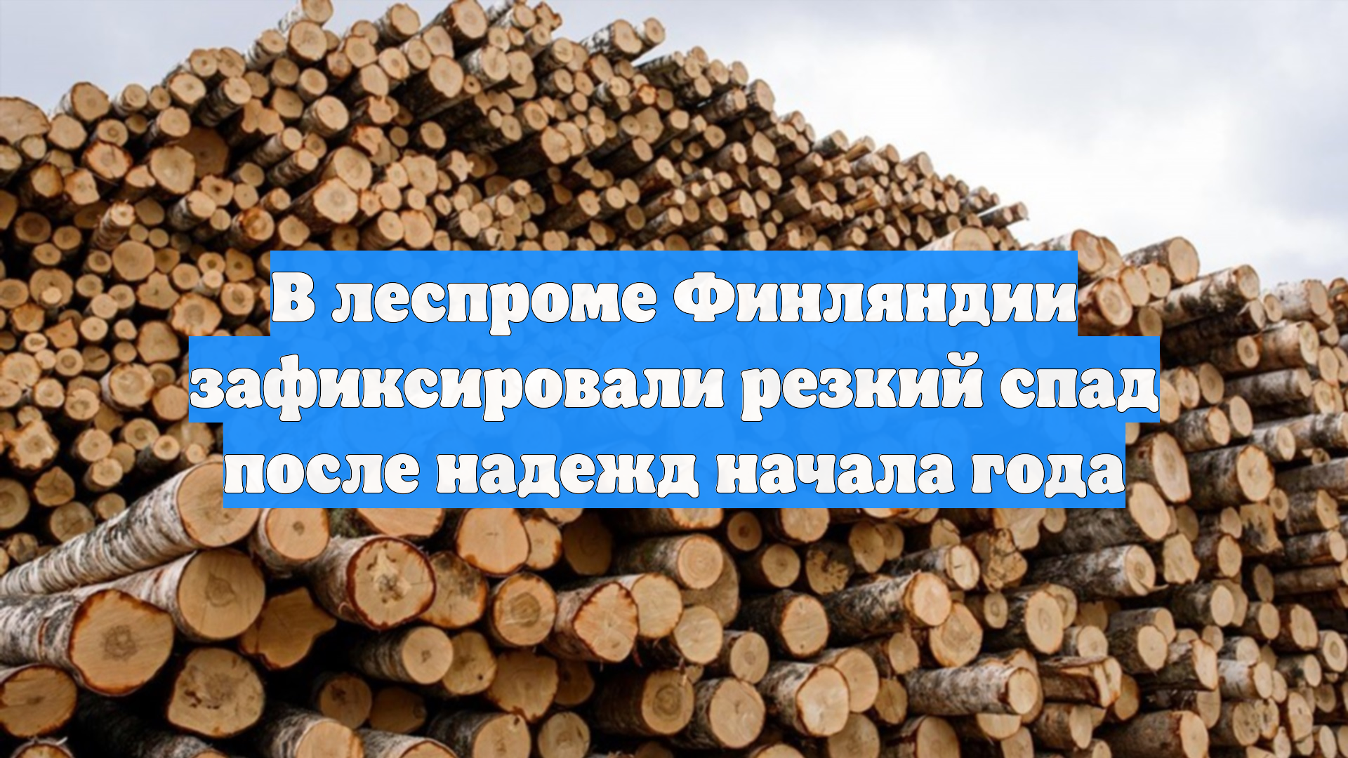 В леспроме Финляндии зафиксировали резкий спад после надежд начала года