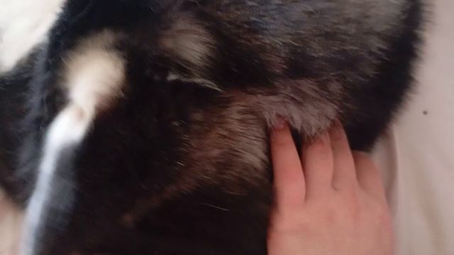 Annat напишите пожалуйста в комментариях делать или нет