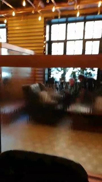 Как выбрать интерьерный водопад