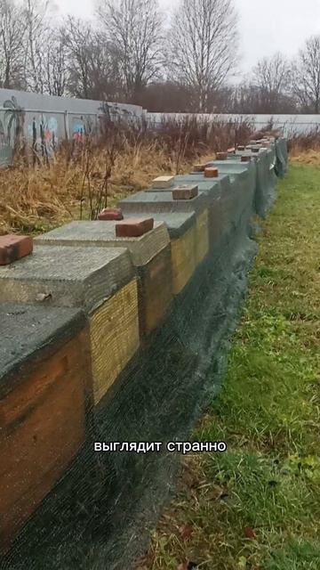 Защищаем ульи от дятла #пасека #пчеловодство #дятлы #защитапасеки #пчёлы #ульи #борьбасдятлами