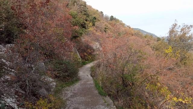 2025.11.29 Царская тропа